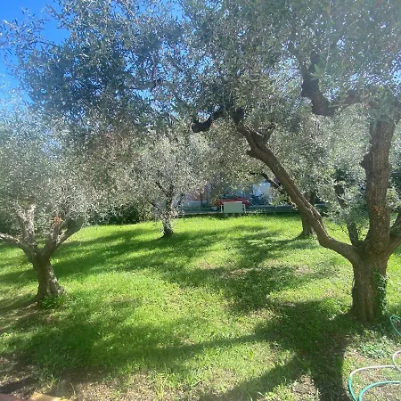 Lejlighed La Casa Di Rosabea Arcola